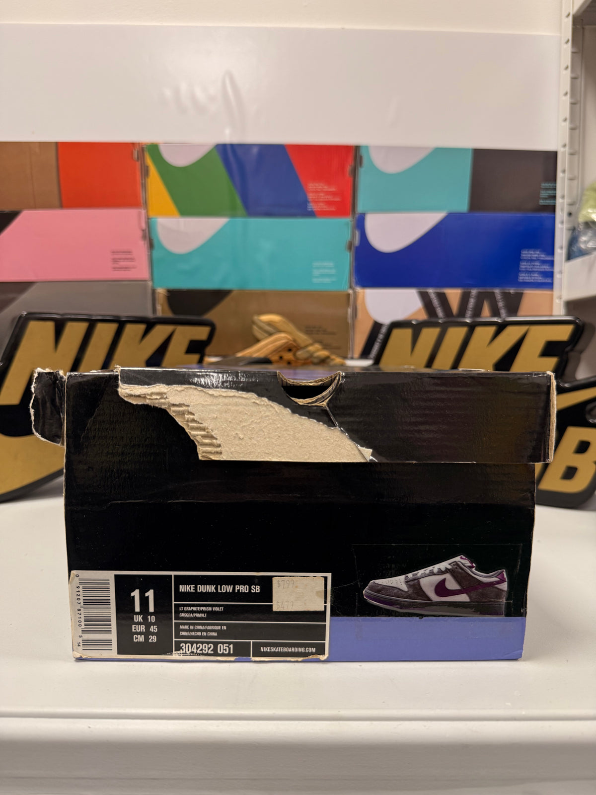 PURPLE PIGEON UK 10