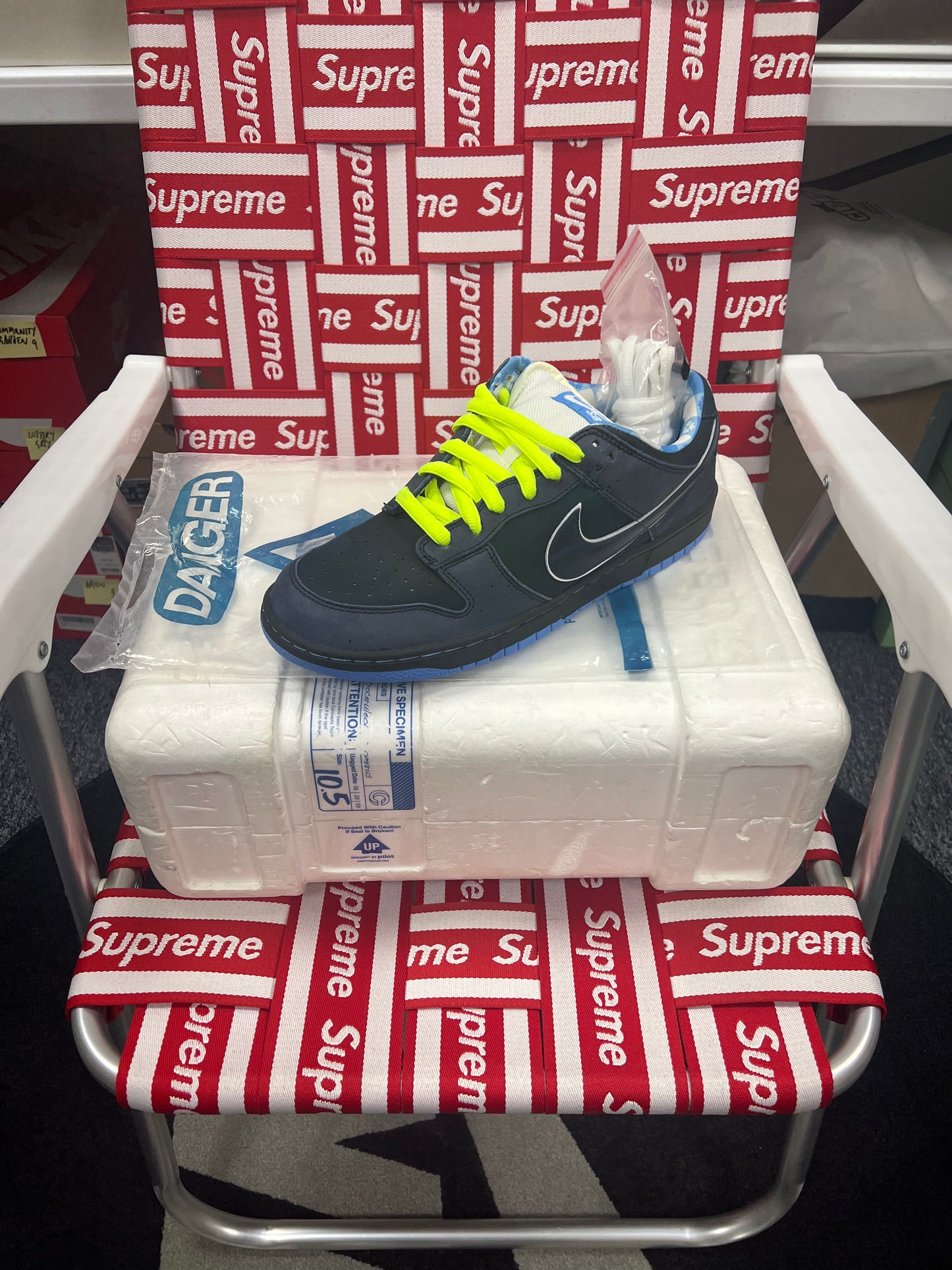 Blue Lobster Special Box 2009 UK9.5 US10.5