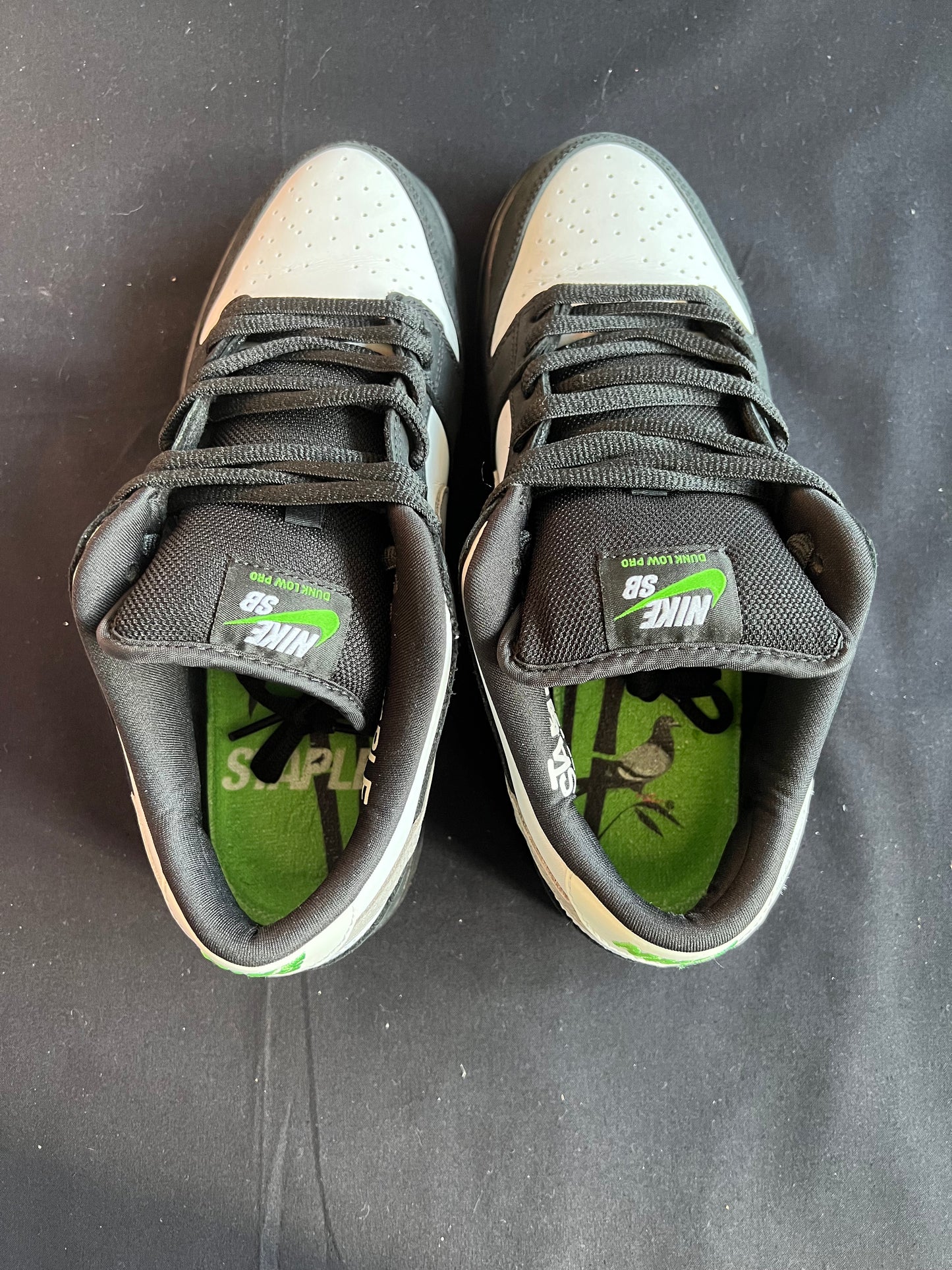 STAPLE PANDA PIGEON UK 8 2018