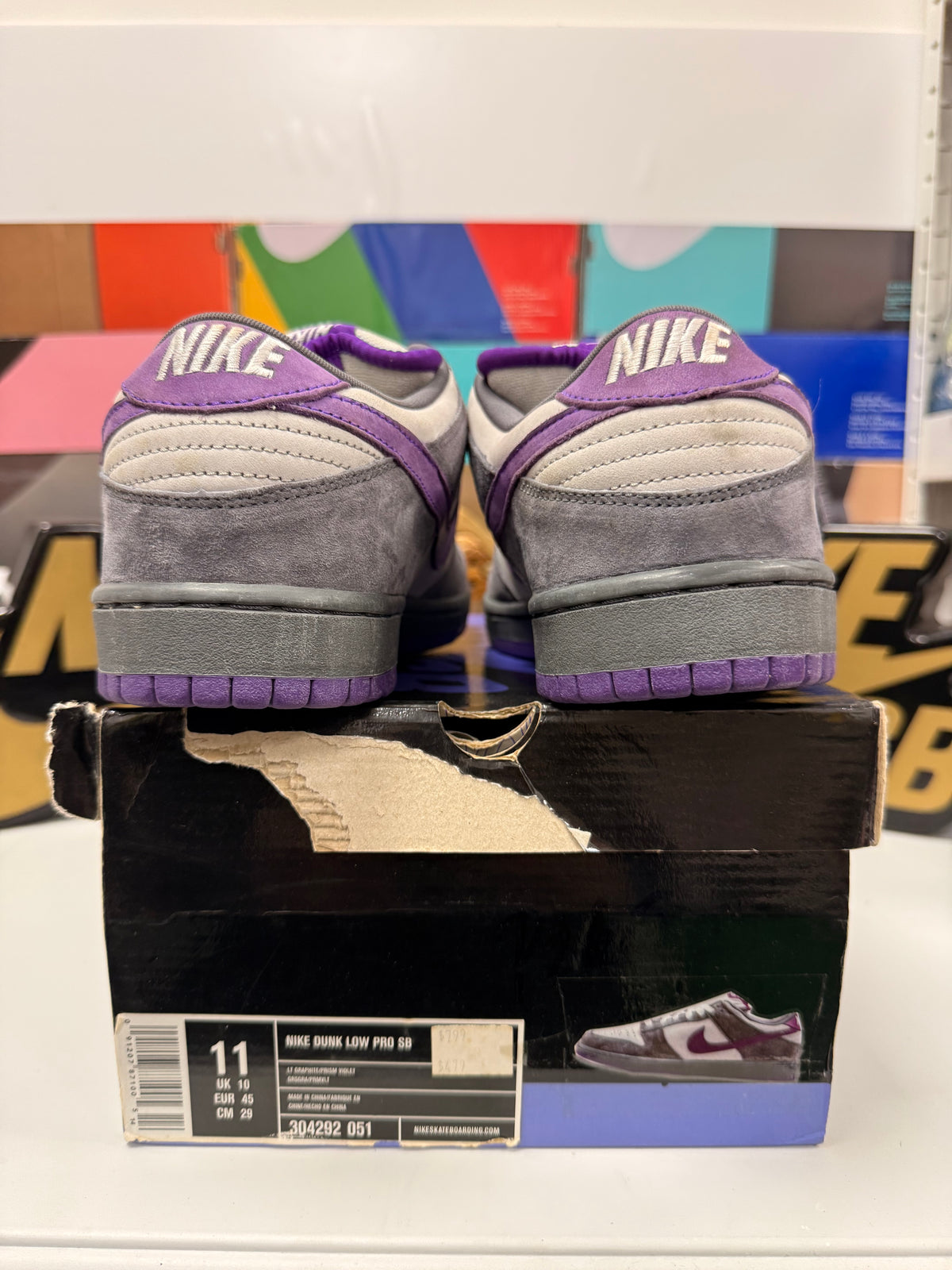PURPLE PIGEON UK 10