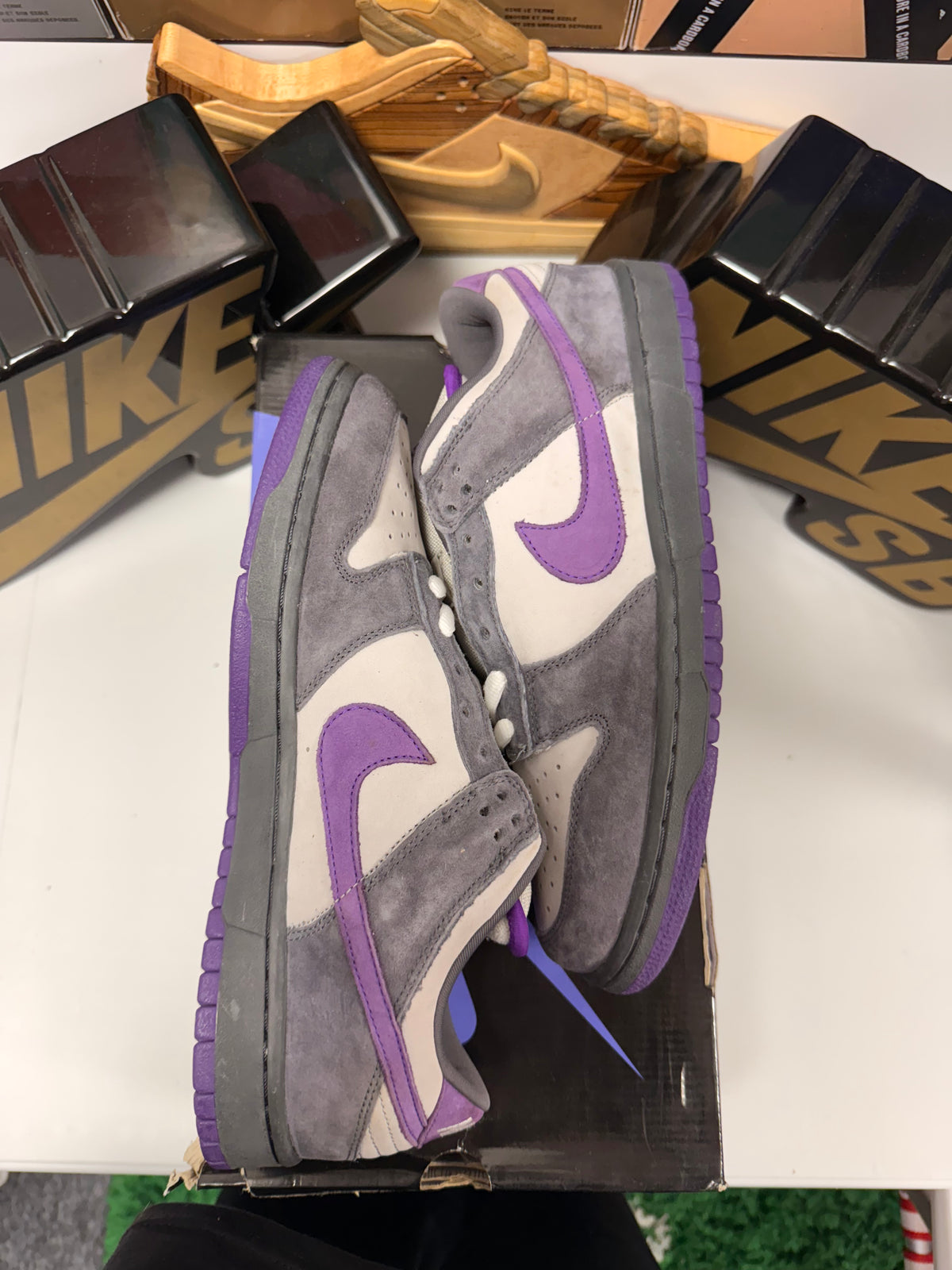 PURPLE PIGEON UK 10
