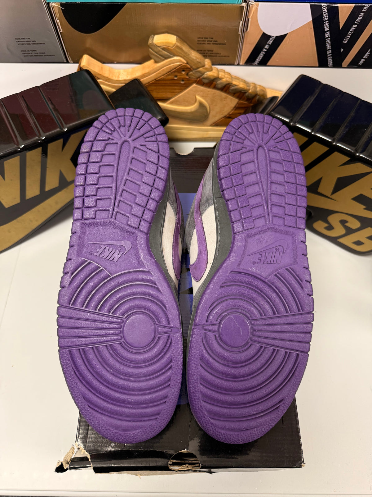 PURPLE PIGEON UK 10