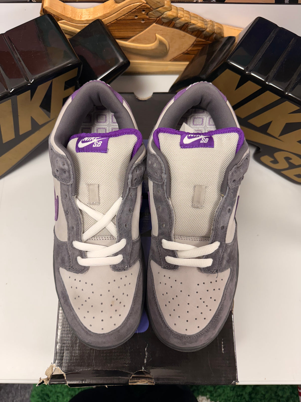 PURPLE PIGEON UK 10
