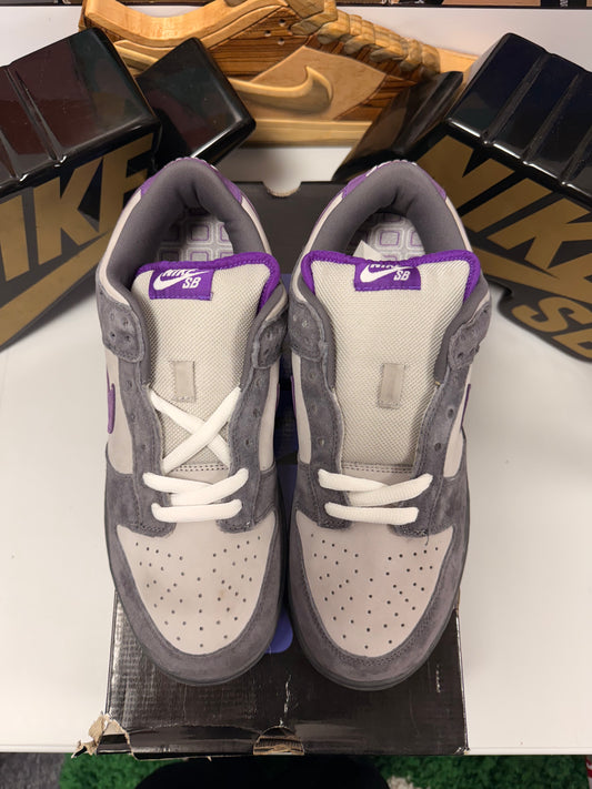 PURPLE PIGEON UK 10