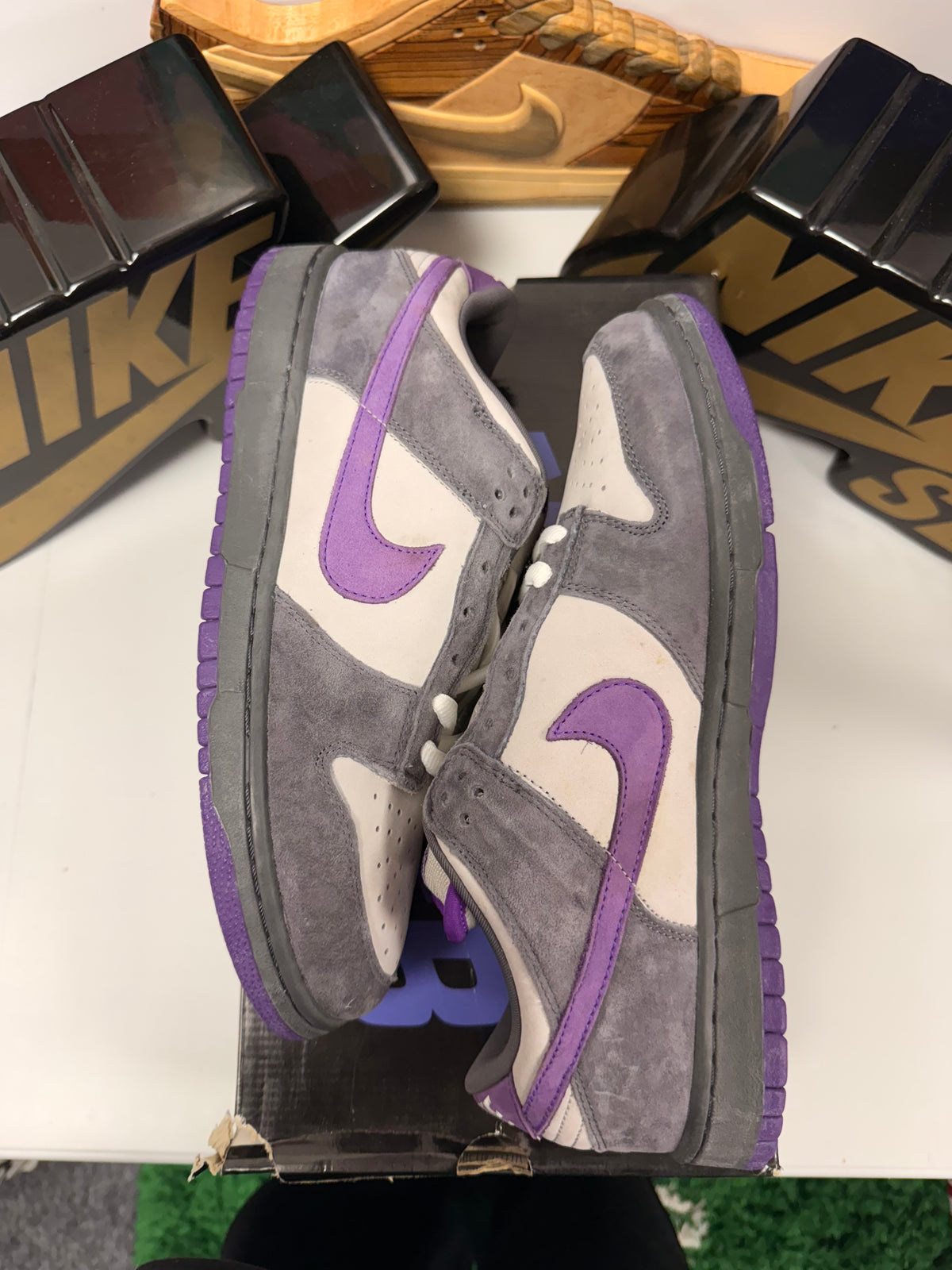 PURPLE PIGEON UK 10