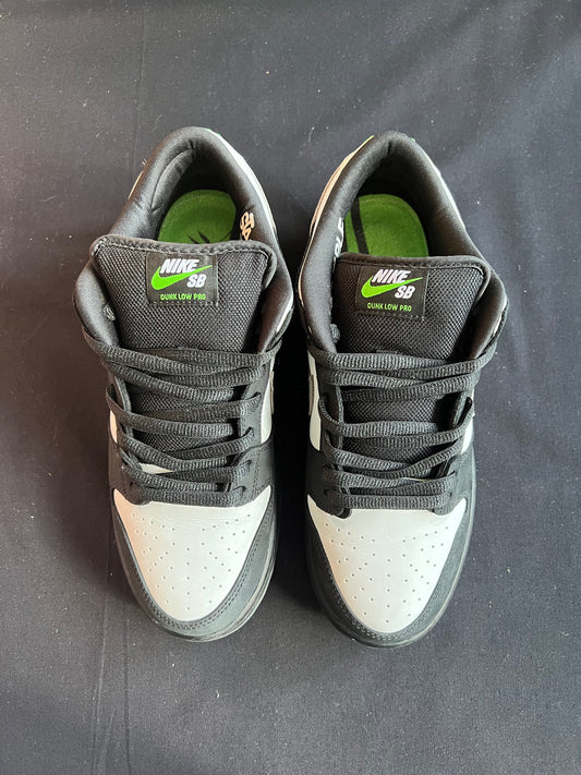 STAPLE PANDA PIGEON UK 8 2018